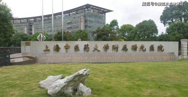 江金茂府发布@400热线❗️❗️张江金茂府网站张(图20)
